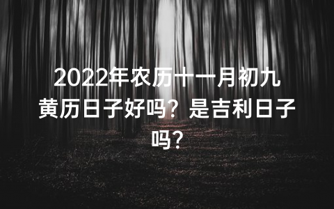 2022年农历十一月初九黄历日子好吗？是吉利日子吗？