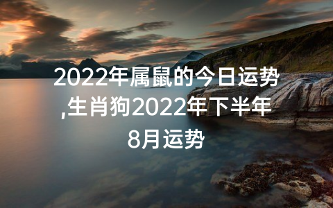 2022年属鼠的今日运势,生肖狗2022年下半年8月运势