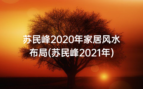 苏民峰2020年家居风水布局(苏民峰2021年)
