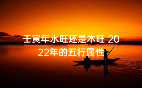 壬寅年水旺还是木旺 2022年的五行属性