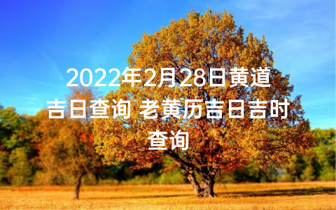 2022年2月28日黄道吉日查询 老黄历吉日吉时查询