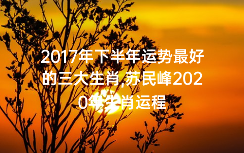 2017年下半年运势最好的三大生肖,苏民峰2020年生肖运程