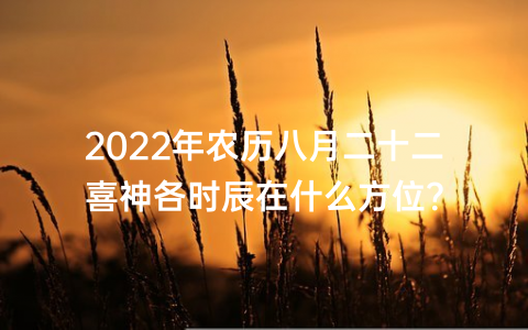 2022年农历八月二十二喜神各时辰在什么方位？