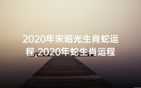 2020年宋昭光生肖蛇运程,2020年蛇生肖运程