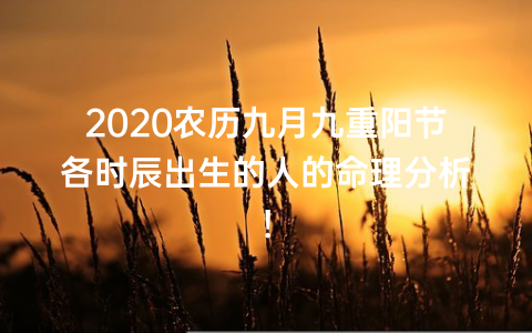 2020农历九月九重阳节各时辰出生的人的命理分析！